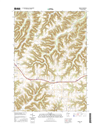 Witoka Minnesota - 24k Topo Map