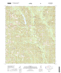 Avera Mississippi - 24k Topo Map