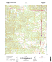 Bailey Lake Mississippi - 24k Topo Map