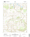 Walnut Lake Mississippi - 24k Topo Map