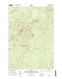 Albert Marsh New York - 24k Topo Map