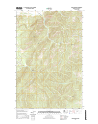 Adams Mountain Washington  - 24k Topo Map