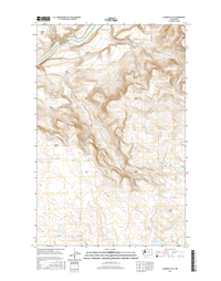 Alameda Flat Washington  - 24k Topo Map