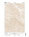 Wilcox Washington  - 24k Topo Map