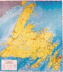 Newfoundland Provincial Base map - Large.  A large map of Newfoundland can be used by businesses for strategic planning, market analysis, environmental analysis, and in the tourism industry, among other applications. This information can help businesses i