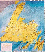 Newfoundland Provincial Base map - Large.  A large map of Newfoundland can be used by businesses for strategic planning, market analysis, environmental analysis, and in the tourism industry, among other applications. This information can help businesses i