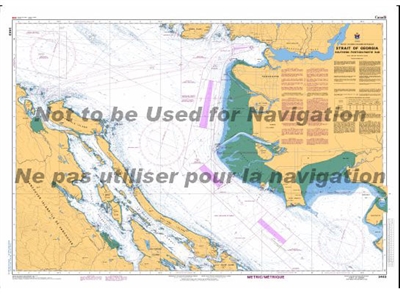 3463 - Strait of Georgia - Southern Portion. Canadian Hydrographic Service (CHS)'s exceptional nautical charts and navigational products help ensure the safe navigation of Canada's waterways. These charts are the 'road maps' that guide mariners safely fro