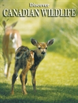 Playing Cards Canadian Wildlife