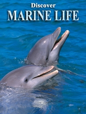 Playing Cards Marine Life