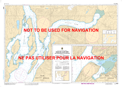 3920 - Nass Bay, Alice Arm and Approaches. Canadian Hydrographic Service (CHS)'s exceptional nautical charts and navigational products help ensure the safe navigation of Canada's waterways. These charts are the 'road maps' that guide mariners safely from