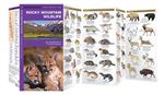 Rocky Mountain Wildlife pocket guide. The Rocky Mountains straddle the Western Continental Divide and have a range of elevations as well as wet and dry areas, providing a diversity of habitat for wildlife. Rocky Mountain Wildlife is the ideal pocket sized