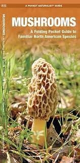 Wild Mushroom Identification pocket guide. When foraging for wild mushrooms, it is critical to be able to positively identify edible and poisonous species. Mushrooms is your guide to familiar, widespread North American species. This beautifully illustrate