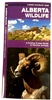 Alberta Wildlife Folding Pocket Guide. Alberta Wildlife is the perfect pocket-sized, folding guide for the nature enthusiast. The beautifully illustrated guide highlights over 140 familiar species of birds, m