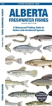 Alberta Fishes Folding Pocket Guide.   Co-authored by experts Dr. Sean Rogers and Matthew J. Morris, this guide highlights 54 fish species that are native to Alberta and 16 species that have been introduced to the province. This beautifully illustr