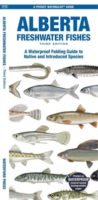 Alberta Freshwater Fishes Folding Pocket Guide.   Alberta Freshwater Fishes Folding Pocket Guide. Co-authored by experts Dr. Sean Rogers and Matthew J. Morris, this guide highlights 54 fish species that are native to Alberta and 16 species that have been