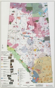 Alberta Provincial Base Map Species at Risk Laminated