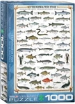 FRESHWATER FISH - PUZZLE - 1000 PC.  High quality puzzle of Freshwater Fish.