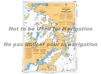 6215 - Basil Channel to Sturgeon Channel Nautical Chart. Canadian Hydrographic Service (CHS)'s exceptional nautical charts and navigational products help ensure the safe navigation of Canada's waterways. These charts are the 'road maps' that guide mariner