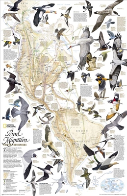 Western Hemisphere Bird Migration Wall Map - National Geographic. This National Geographic map shows the mystery of bird migration in the western hemisphere and the incredible journeys that birds undertake every year. There are some 67 types of birds that