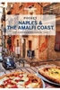 Naples & the Amalfi Coast Pocket Guide book. A guidebook can be extremely helpful when planning your trip. A guidebook can provide detailed information on each site, including opening hours, admission fees, and any other important details you need to know