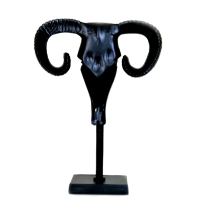 Table Top Buffalo Skull Sculpture In Black Finish