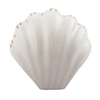 White Sea Shell Dresser Knob