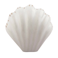 White Sea Shell Dresser Knob