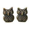 Metal Owl Cabinet Knob in Antique Brass Finish