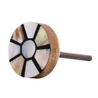 Mother of Pearl & Resin Cabinet Knob