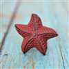 Star Fish Cabinet Knob in Distressed Red