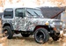 Jeep Wrangler Camo Kit (120 sq. ft. - 6 Sheet Kit)