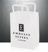 Embassy Suites frosted shopping bag, #1229433