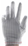 Botron B6851 Small Lint Free ESD Safe Gloves 10 Pairs/Pack