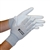 Transforming Technologies GL4500P ESD Nylon Palm Coated Inspection Gloves