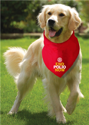 End Polio Now Pups for Polio Dog Bandana