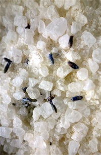 Lavender Aromabath Salts, 200gm