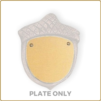 Replacement Plate for Bronze Acorn