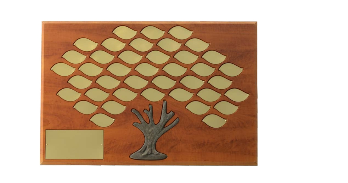 Donor Recognition Trees Wood Rectangle Series