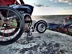 Accessory Dept | FreeWheel Wheelchair Attachment