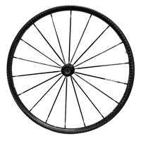 24" TiLite Spinergy Carbon Blade Wheels | DME Hub