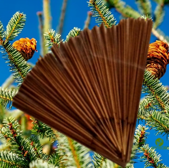 Fir Needle