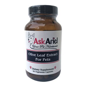 Olive Leaf Extract For Cats & Dogs