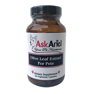 Olive Leaf Extract For Cats & Dogs