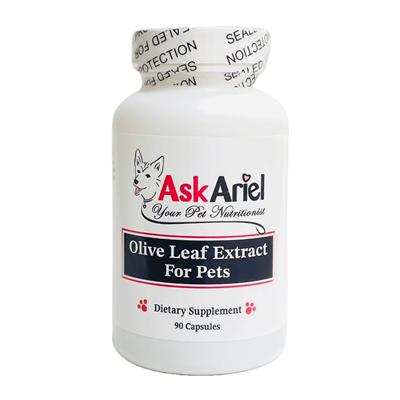 Olive Leaf Extract For Cats & Dogs