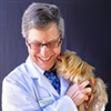 Holistic Veterinarian Consultation