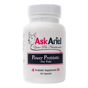 Best Probiotic for Dogs & Cats