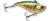 Owner Cultiva Mira Vibe Lipless Crankbait Model MV60S