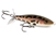 Rapala Skitter Prop