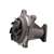 GM12462265 : Forklift WATER PUMP