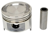 PISTON - STANDARD FOR HYSTER : 1361714